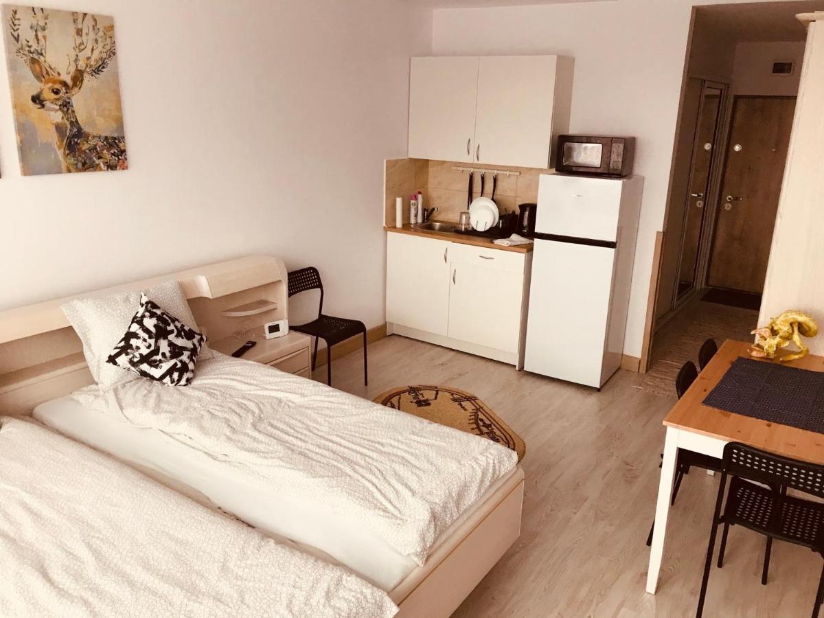 Ferienwohnung Studio 1O1O1 Piatra Neamţ Exterior foto
